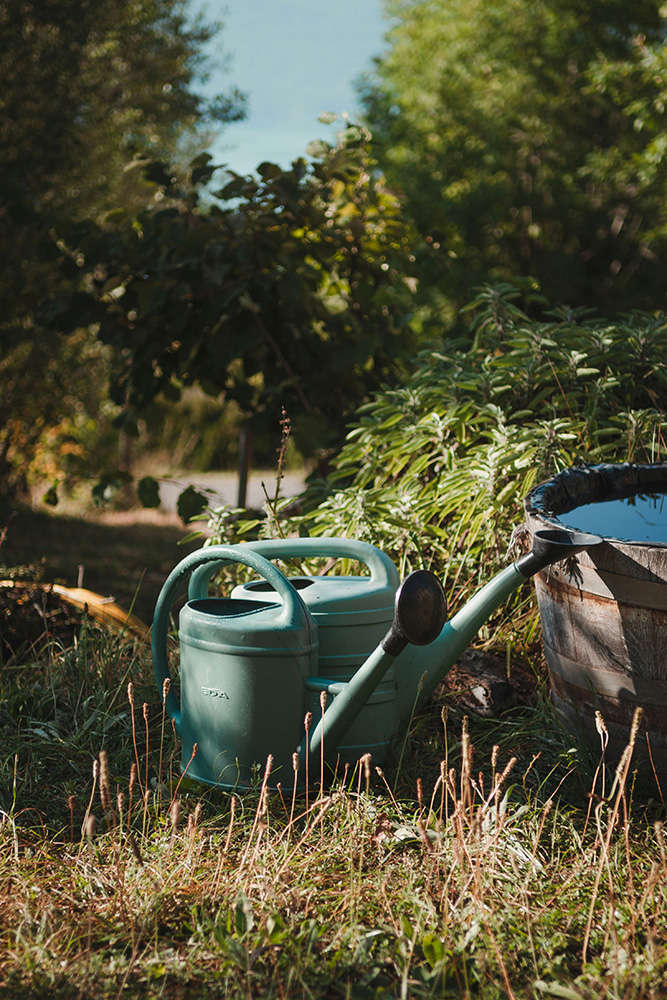 conseil jardinage permaculture nantes