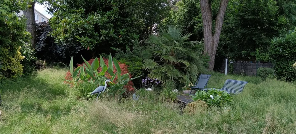 entretien jardins nantes avant