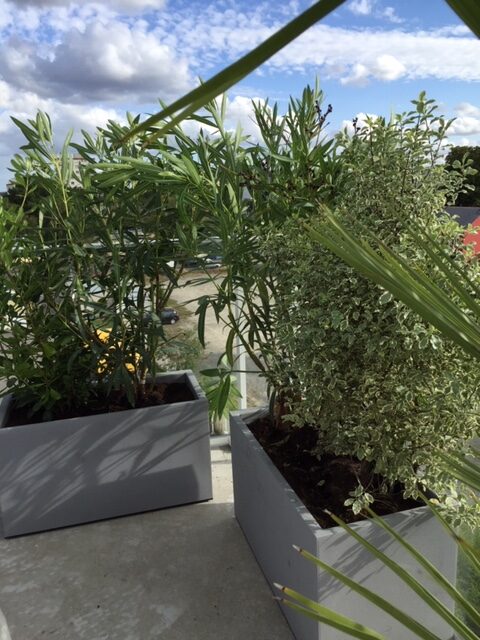 mise au vert dun balcon terrasse vertigo 1 rotated