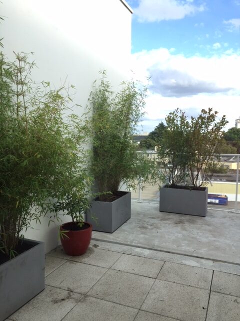 mise au vert dun balcon terrasse vertigo 3 rotated