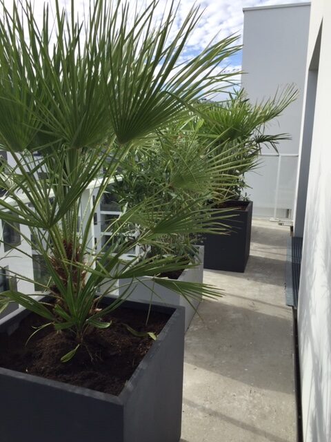 mise au vert dun balcon terrasse vertigo 8 rotated