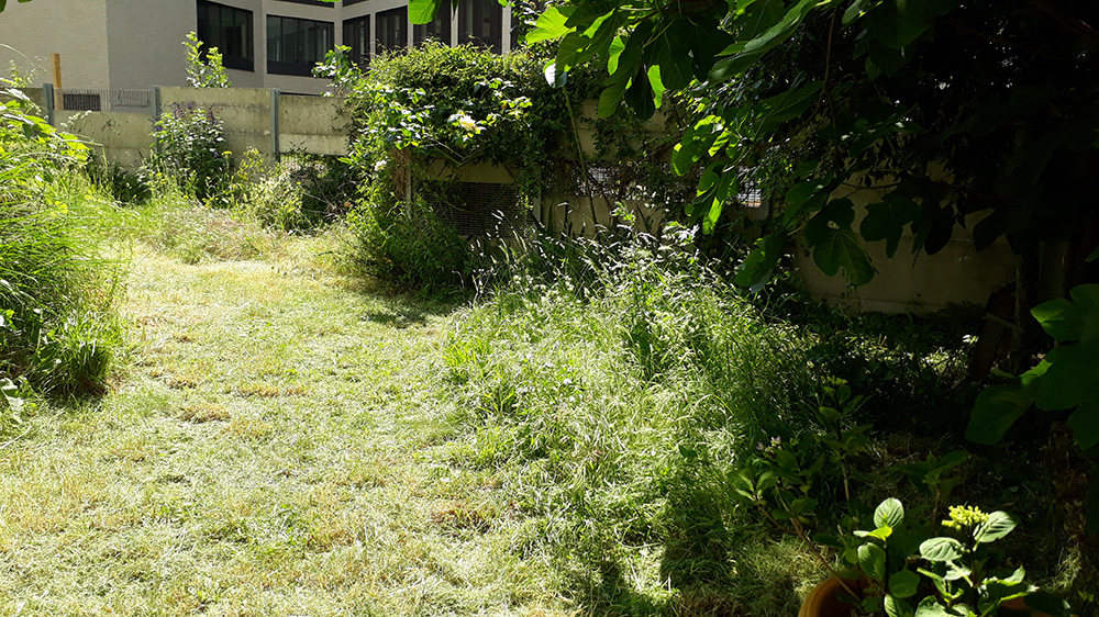 Entretien des espaces verts pour syndics et copropriétés à Nantes espace vert copro gloriette nantes
