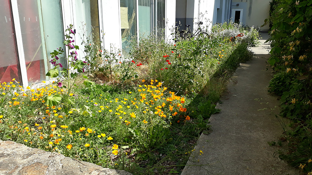 Entretien des espaces verts pour syndics et copropriétés à Nantes jardin copro nantes