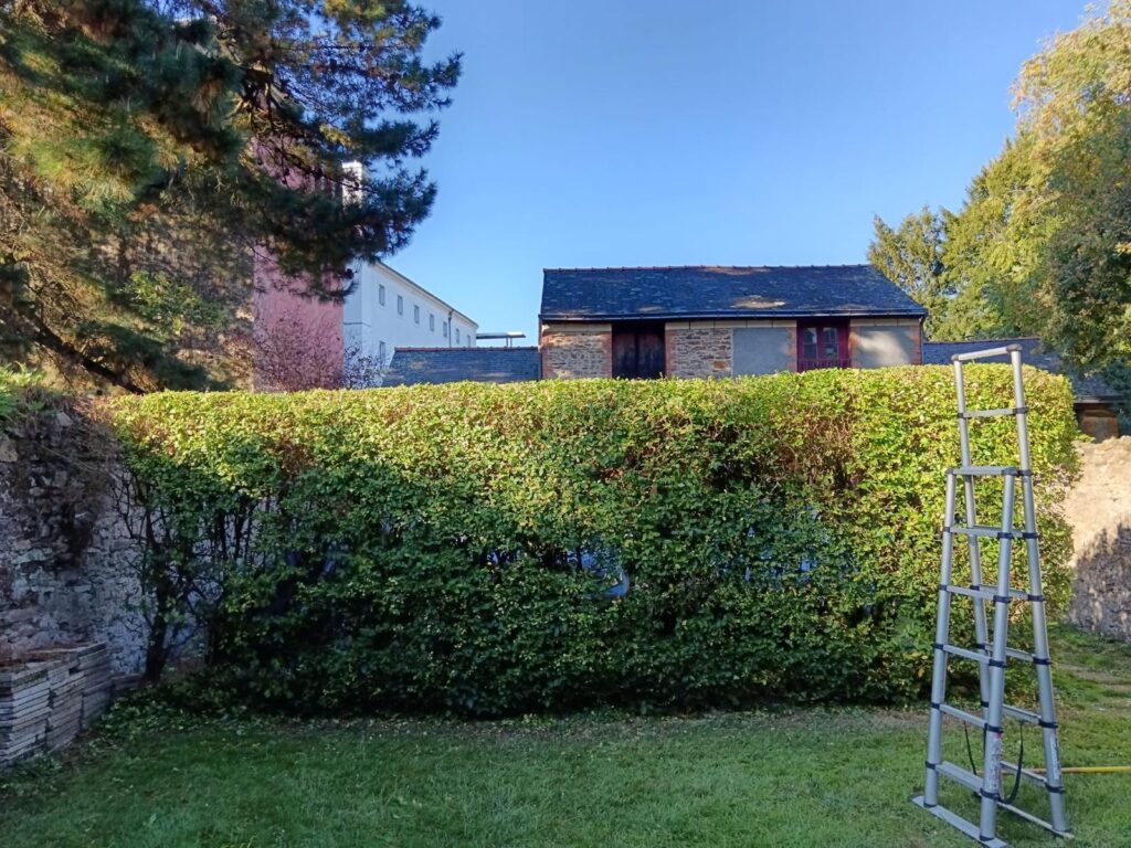 Entretien des espaces verts pour syndics et copropriétés à Nantes taille haie copro nantes