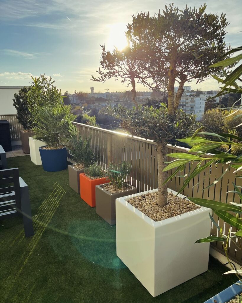 c51ca072 6a79 4912 a5b2 bb03114533e7