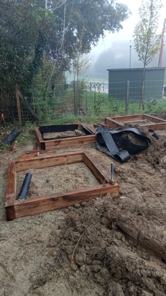 img20211027100543 800x1422