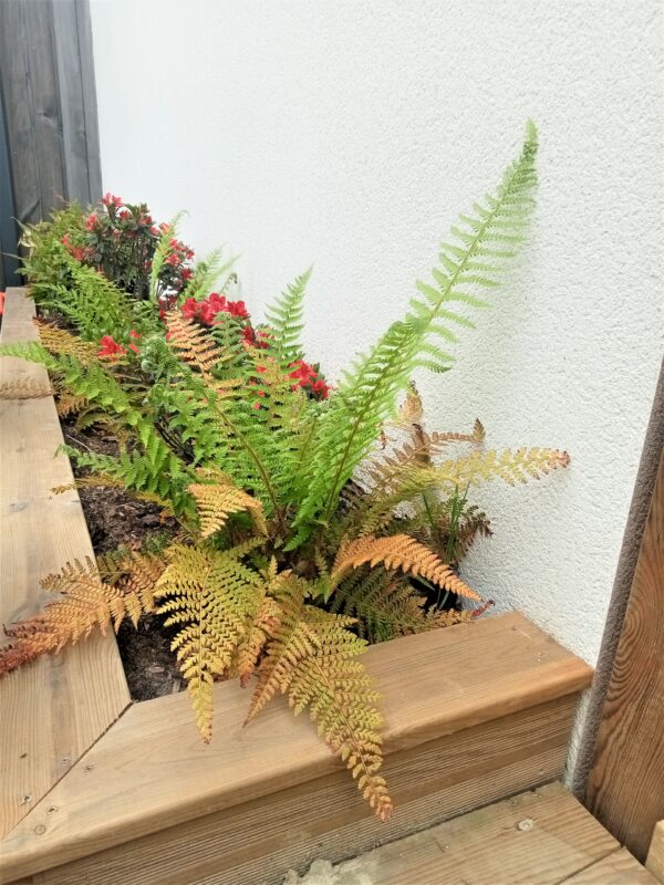 img20220511093742 600x800