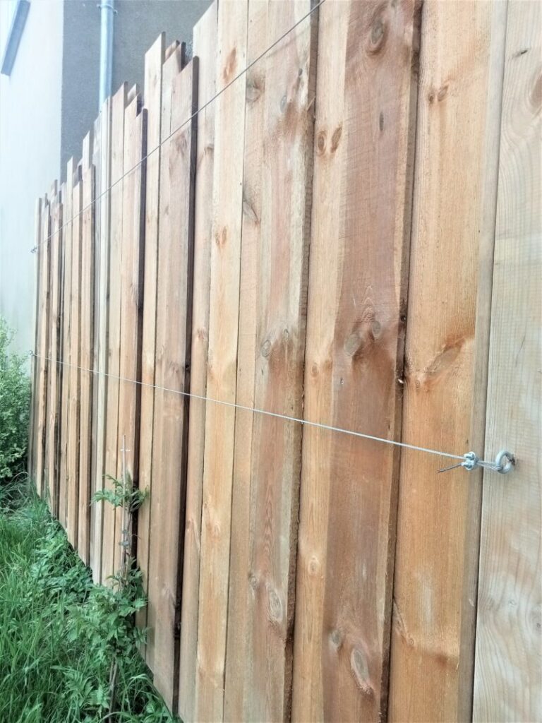 img20220511093857 800x1067