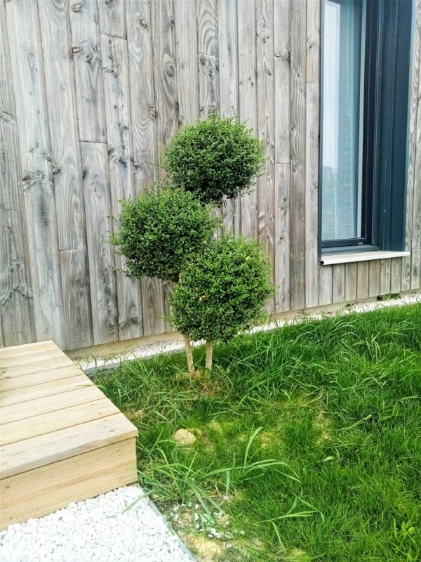 img20220511094103 01 600x800