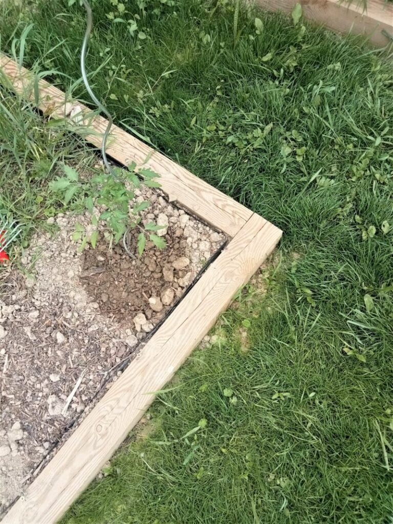 img20220511094216 800x1067