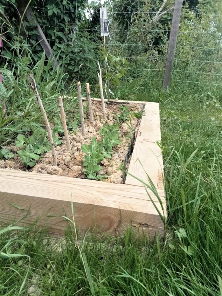 img20220511094223 800x1067