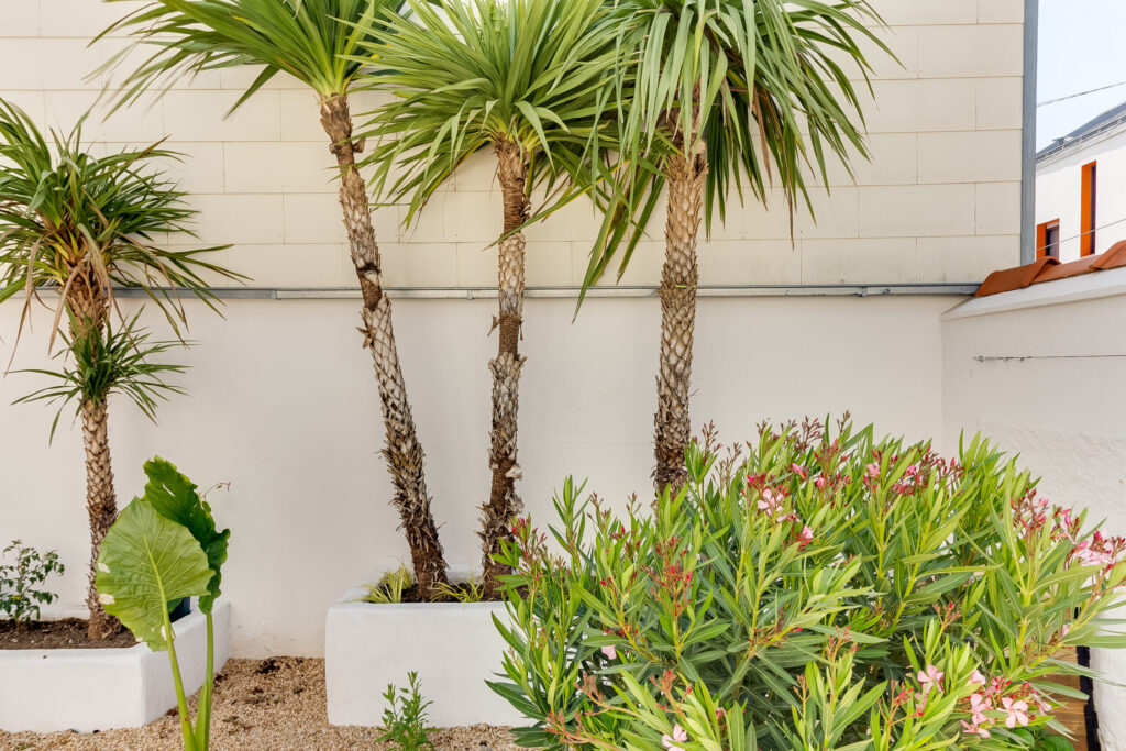 Une oasis au cœur de Nantes • Aménagement paysager d’un jardin en centre-ville de Nantes meero photo 71045149 028 scaled