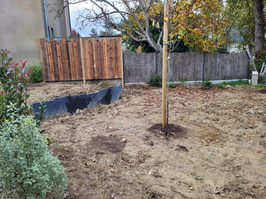 whatsapp image 2021 11 17 at 18.07.57 1