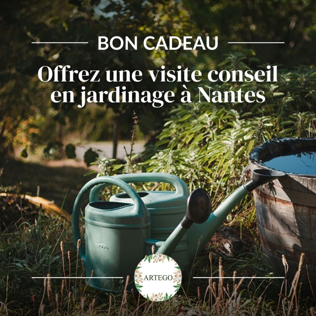 Bon cadeau : Offrez une visite conseil en jardinage bon cadeau visite conseil