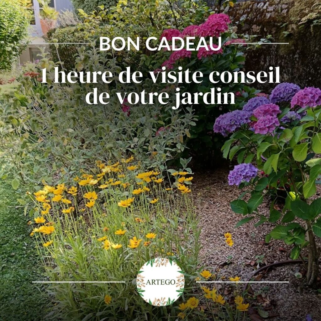 Bon cadeau "1 heure de visite conseil de votre jardin" bon cadeau visite conseil (2)