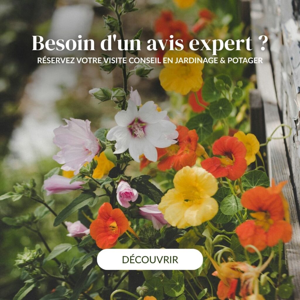 visite conseil potager nantes