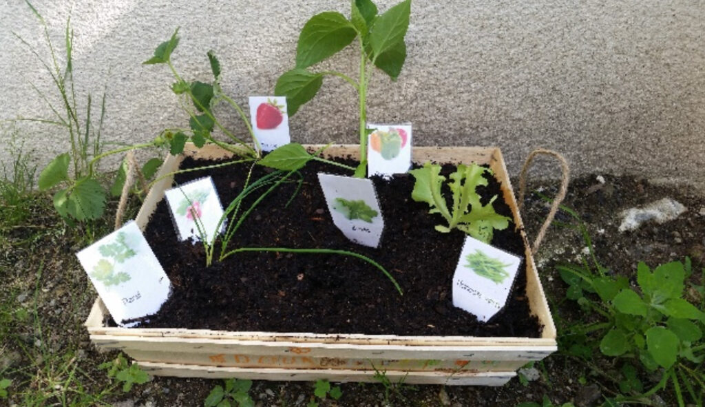 box poatger enfant nantes