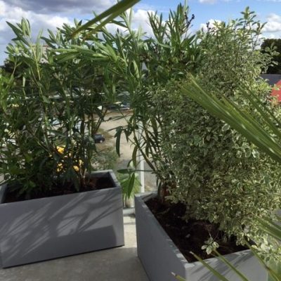 Aménagement d’une terrasse Nantaise près de la Beaujoire