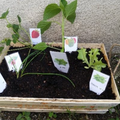 box poatger enfant nantes