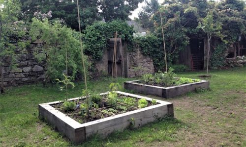 conseil en jardinage permaculture nantes conseil en jardinage permaculture nantes